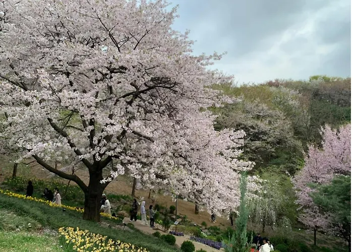 경복궁1정거장 광화문 서울역 명동 지하철 도보5분 강북삼성병원 아파트
